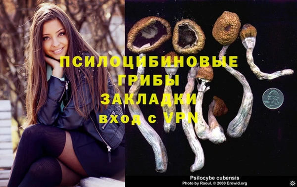 PSILOCYBIN Медногорск