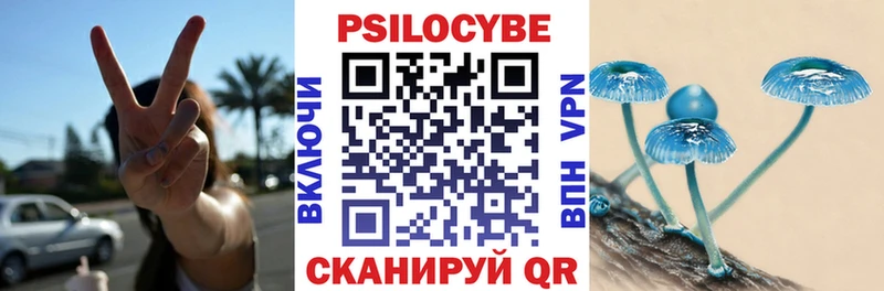 Купить где  Судак  Псилоцибиновые грибы ЛСД 