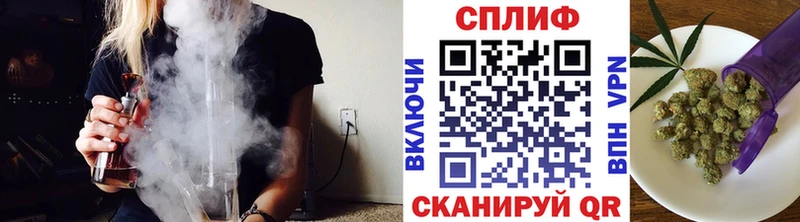 Купить  Судак  Конопля SATIVA & INDICA 